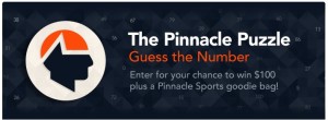 pinnacle-puzzle-promotion-300x110.jpg